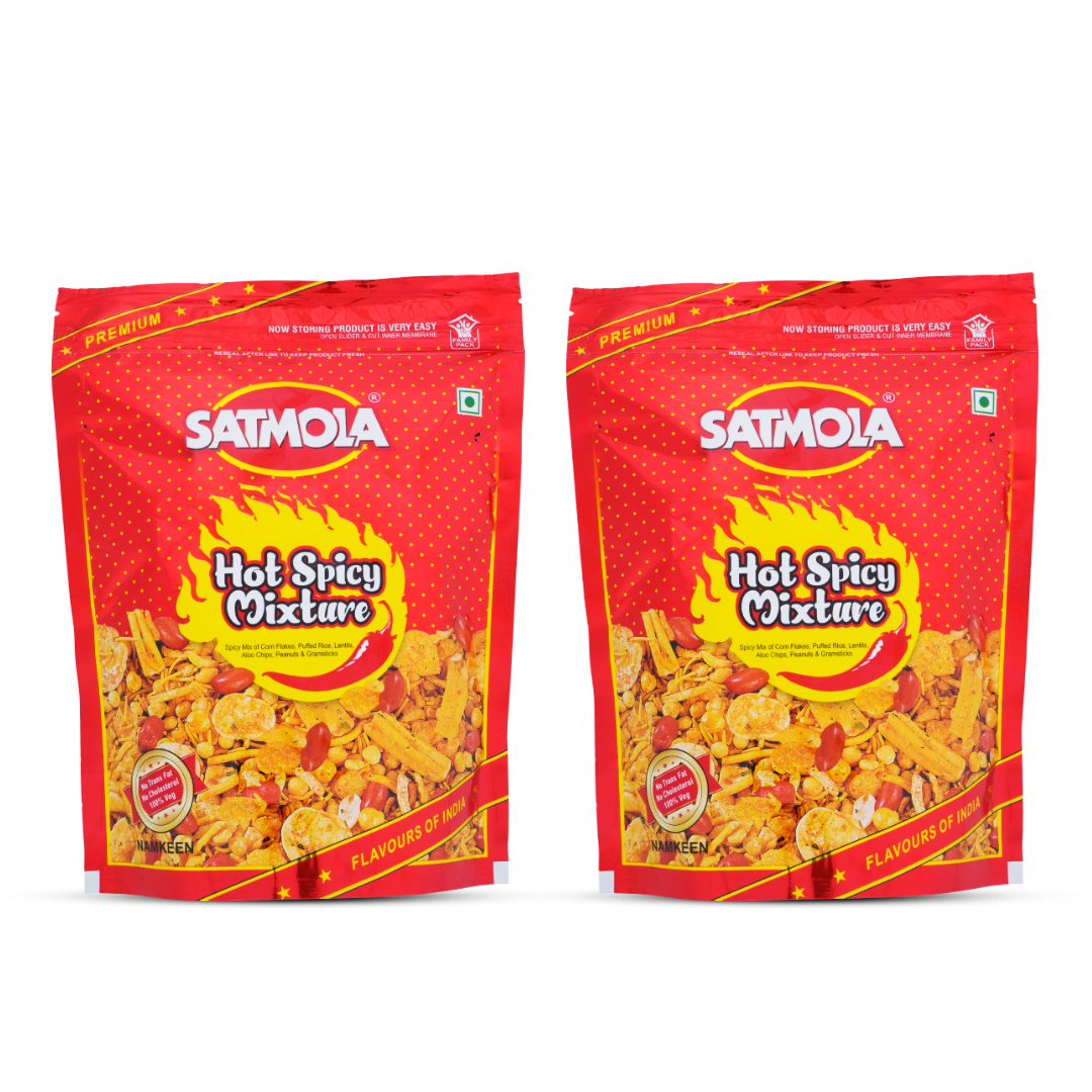HOT SPICY MIXTURE (Pack of 2) – Bold & Spicy Namkeen