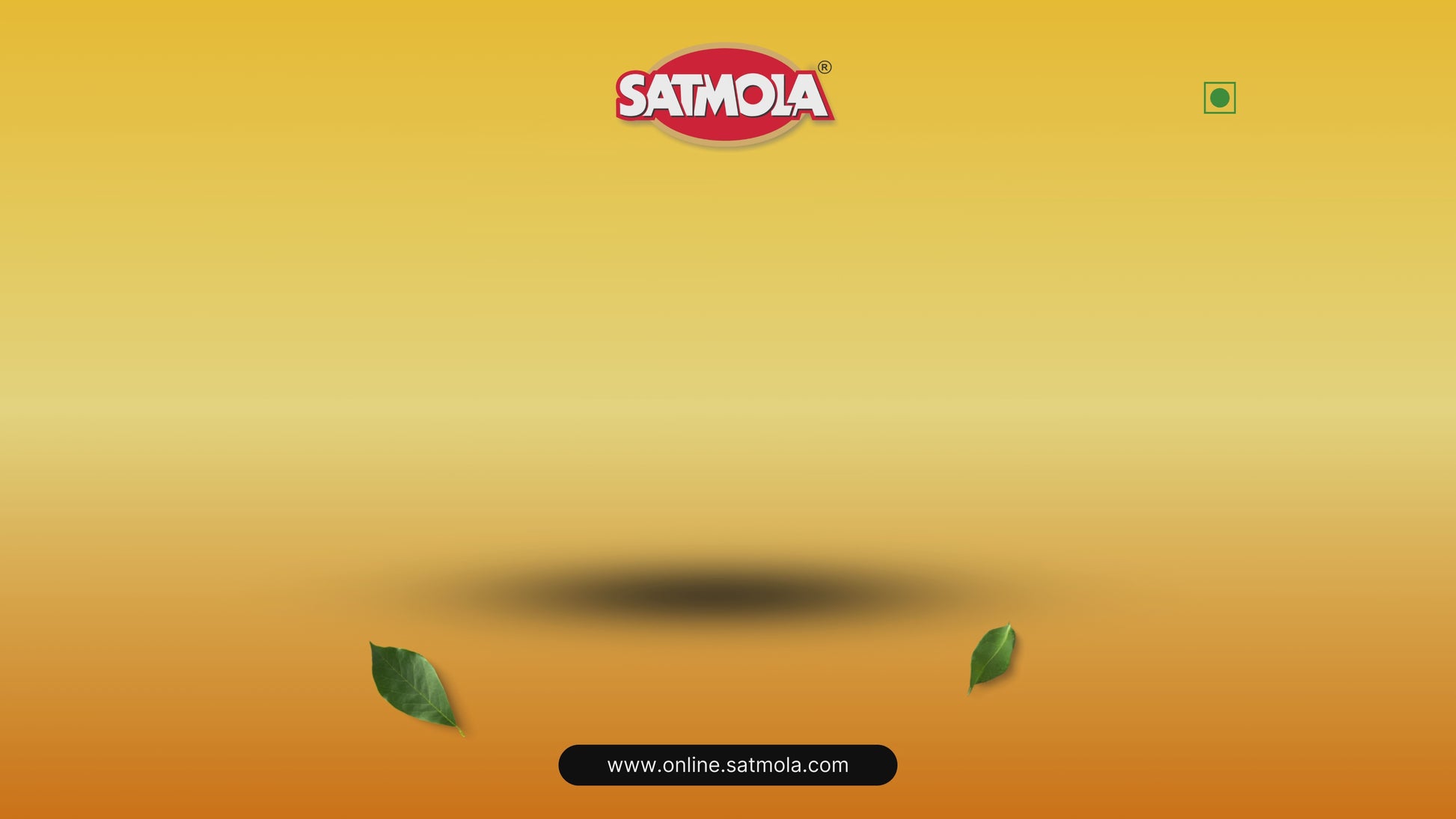 Satmola Aam Papad Pouches Video