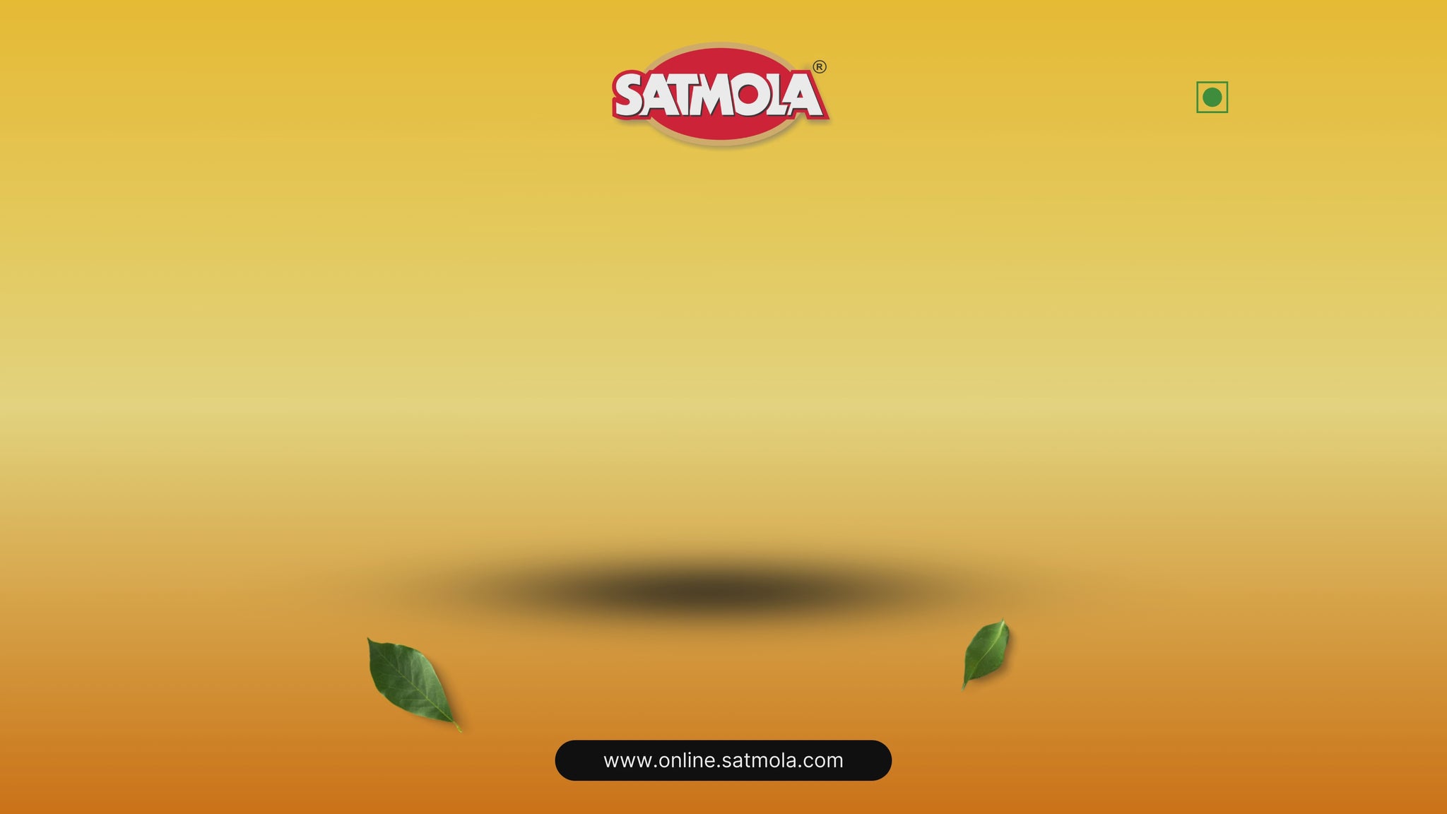 Satmola Aam Papad Pouches Video
